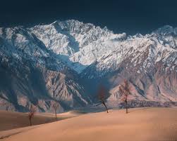 Desert